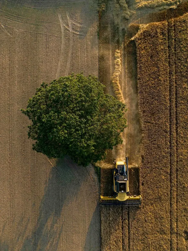 Vista aérea de una parcela durante la cosecha